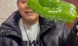 运城网红吃瓜事件视频,一场网络狂欢背后的真相揭秘